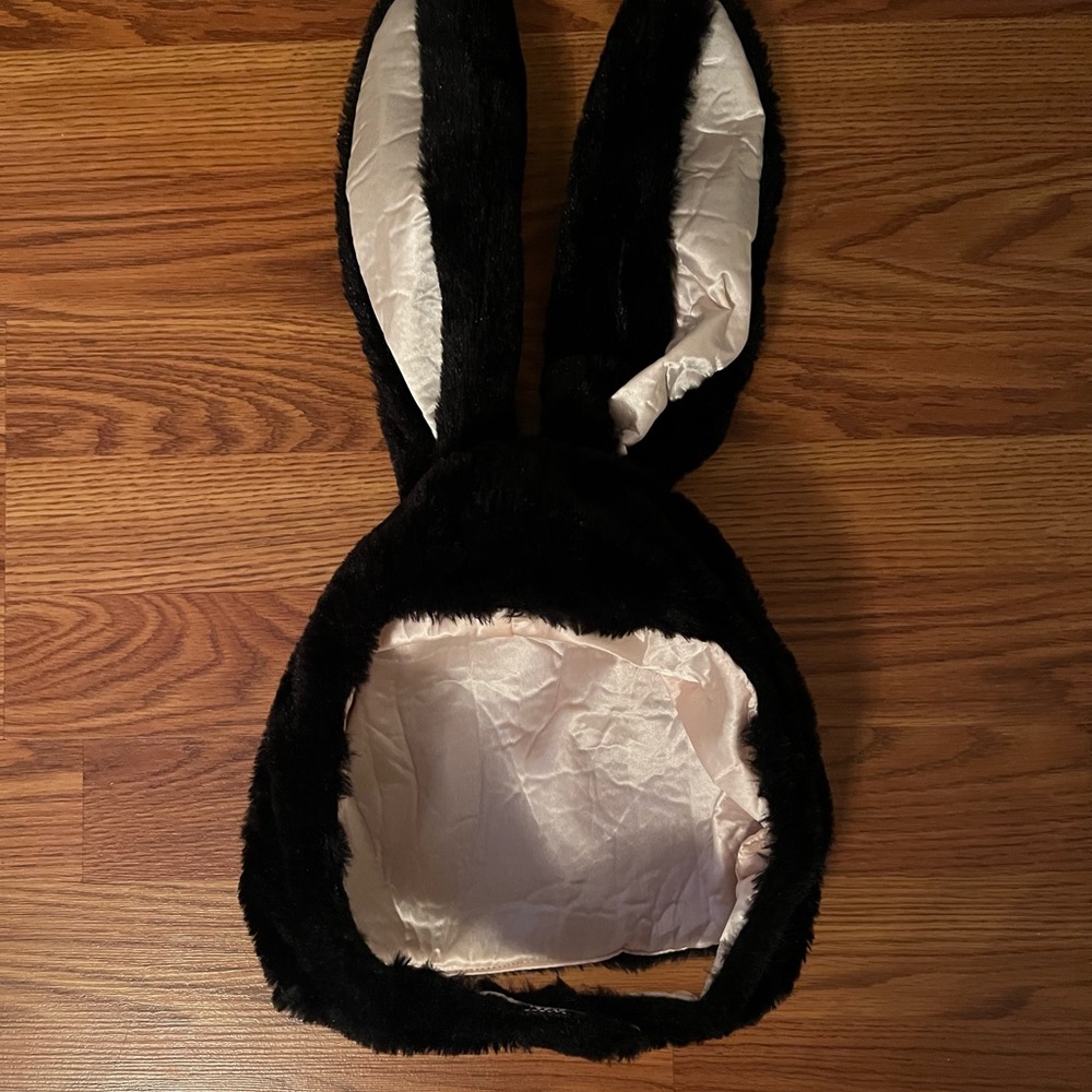Bunny Ears Hat View 2